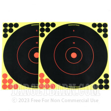 Birchwood Casey Splatter Targets - 100 Shoot-N-C Targets - 12" Bullseye