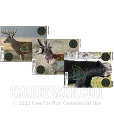 Champion VisiColor - 12 Real Life Reactive Paper Targets - 18” x 12” Targets