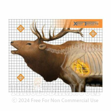 Animal XRAY Elk Practice Target - Precision Hunting Sight-In - Champion - 6 Count