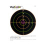 VisiColor 8 Inch Bullseye Target - Multi-Color Reactive - Champion - 10 Count
