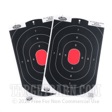 Birchwood Casey Splatter Targets - 100 Dirty Bird Targets - B-24 Silhouette