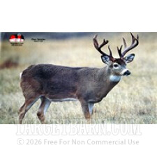 DEER Splatter - 8 Target Barn Reactive Targets