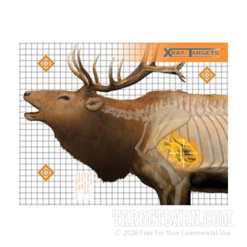 Elk Paper Target Champion Animal X-Ray Elk Hunting Paper Practice Targets for Sale - 6 Count